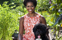 Testimonials