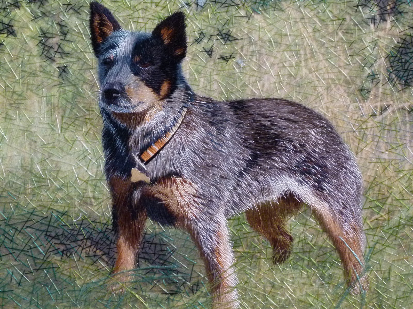 What S A Good Name For A Female Cattle Dog